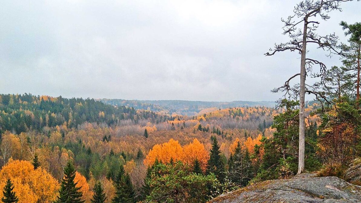 Nuuksion kansallispuisto syksyllä.