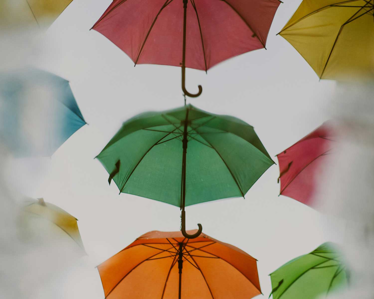 Umbrella exhibition.