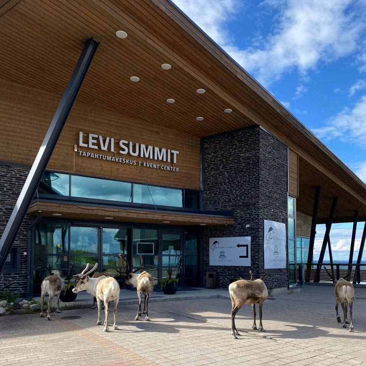 Poroja kahvila-ravintola Spiellan edustalla.