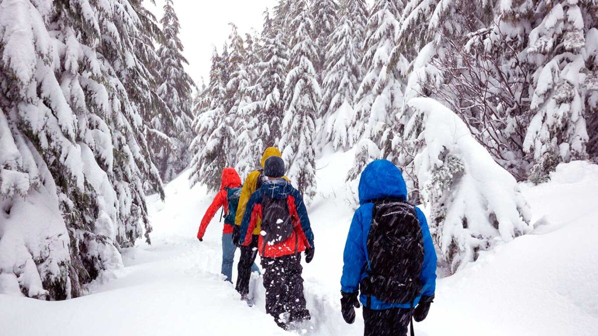 Lapset ulkoilevat hiihtolomalla lumisessa metsässä.