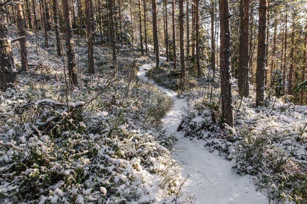 Nuuksion kansallispuisto Espoossa.