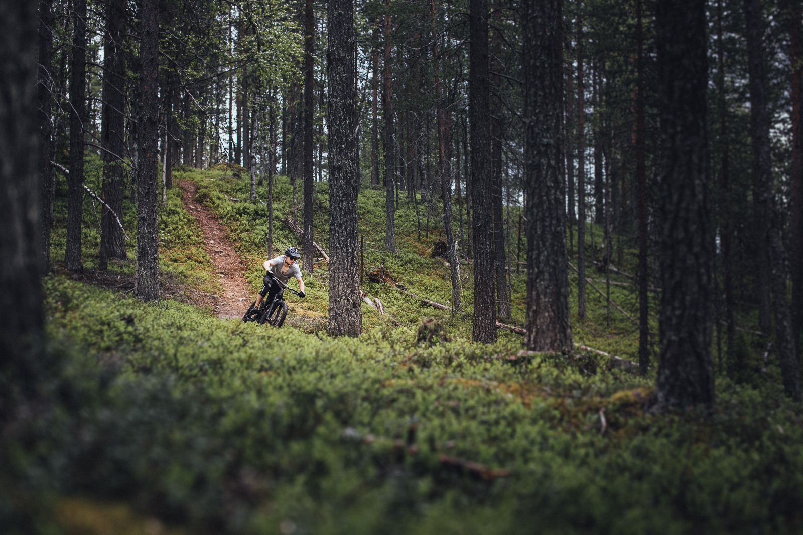 Maastopyöräilijä Levin metsässä.
