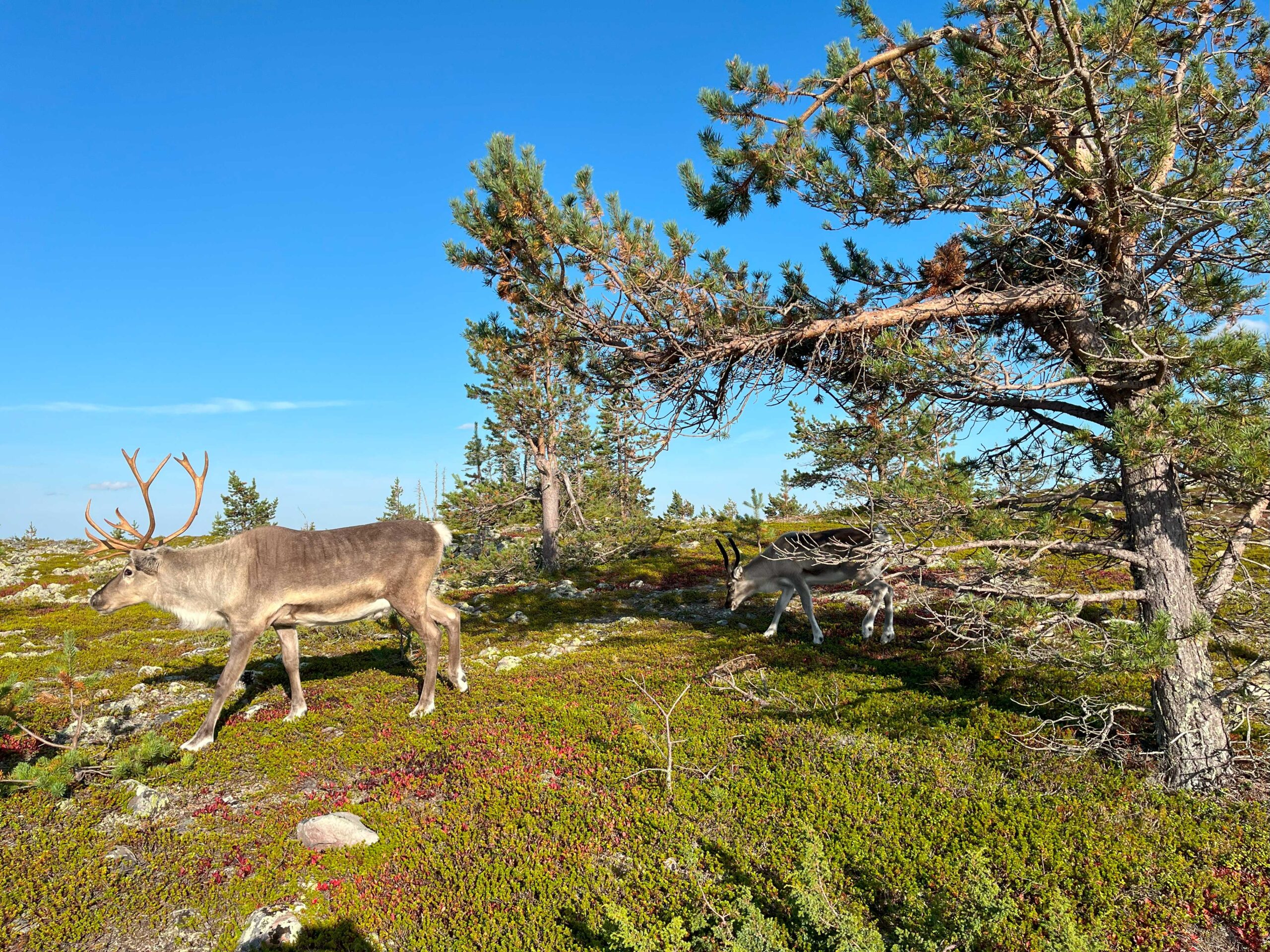 Ruskareissulla kavereiden kanssa