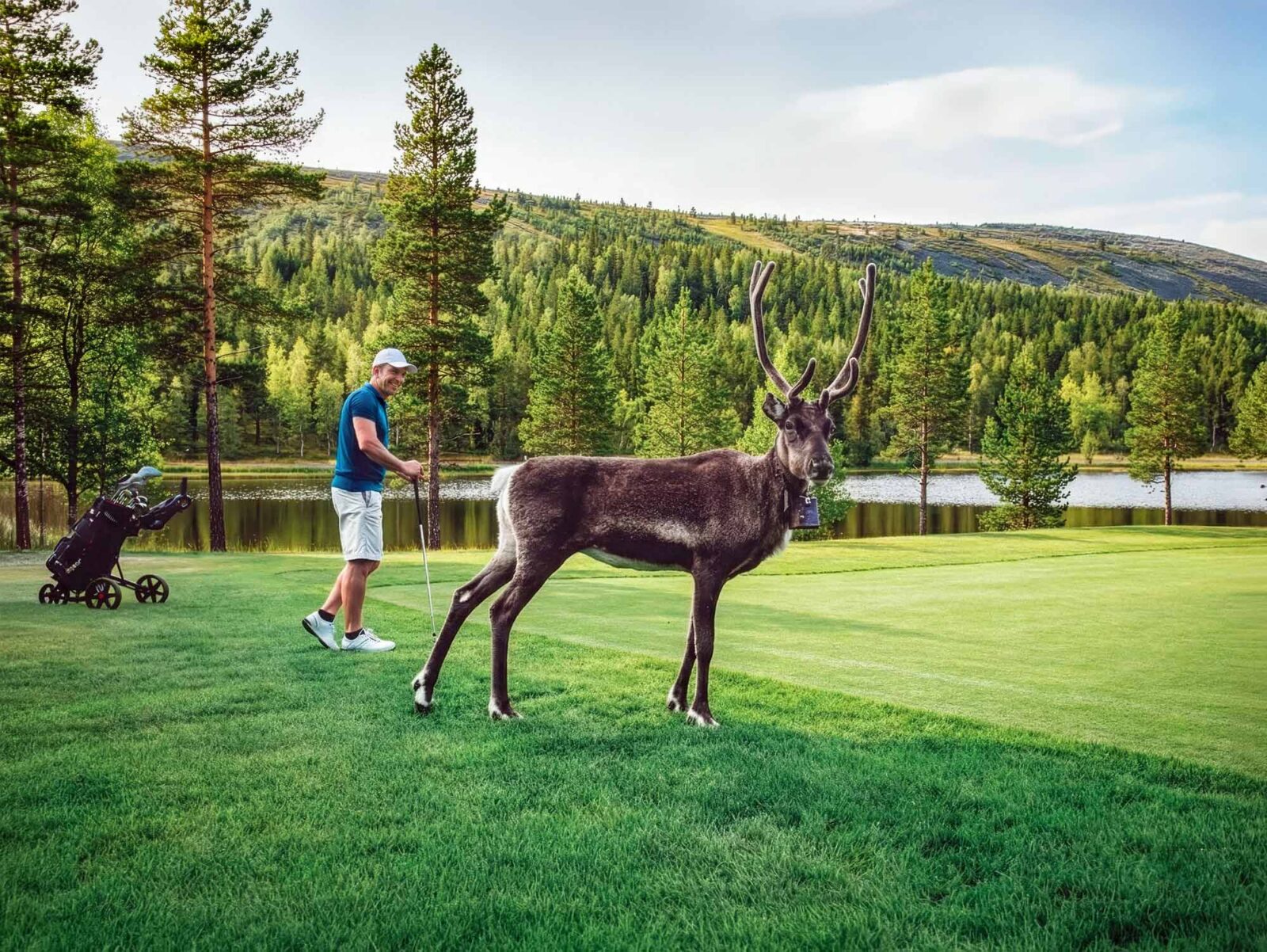 Levi Golfin kenttä.